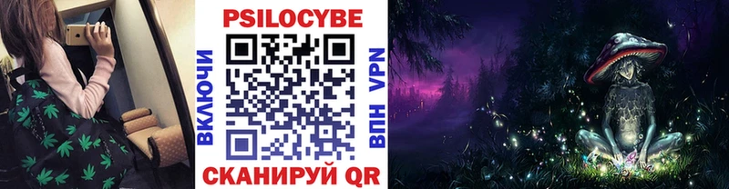 как найти закладки  Нестеровская  Псилоцибиновые грибы ЛСД 
