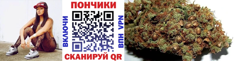 Марихуана индика Нестеровская